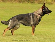 zaga_hel_2013-08-31