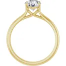 Ring No. 123060