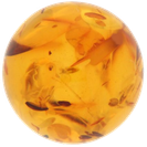Rav