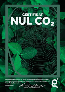 RASK Danmark - CO2 fri Smykker - Vi ønsker ikke at udlede Smykke-CO2