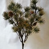 IMG_20201108_140031