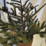 IMG_20201117_142156