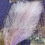 IMG_20220302_151720