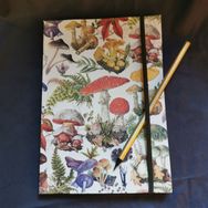IMG_20231206_130216