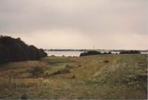 Slugten og tilgroet mose Ravnsgårdsvej aug 1983
