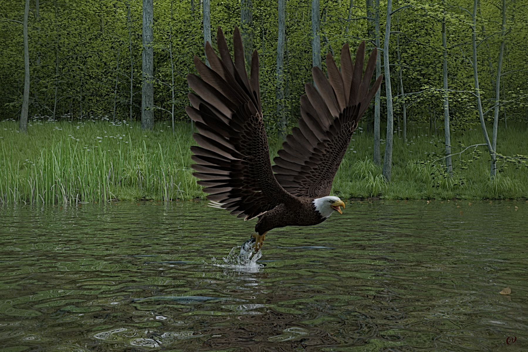eagle eye