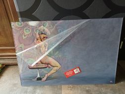 60x40 Geprint op plexiglas