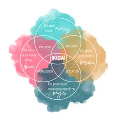 redacom ikigai