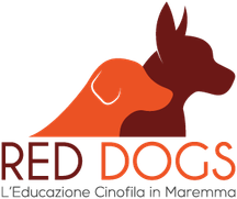 red dogs educatore cinofilo orbetello grosseto