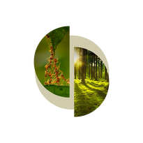 NATURERLEBNIS FÜR UNTERNEHMEN