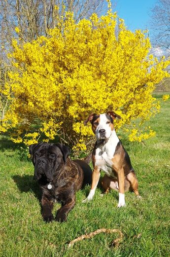 Bonnie avec son grand frère