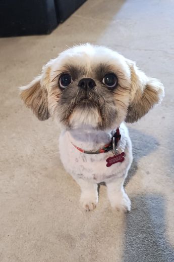 Charlie 