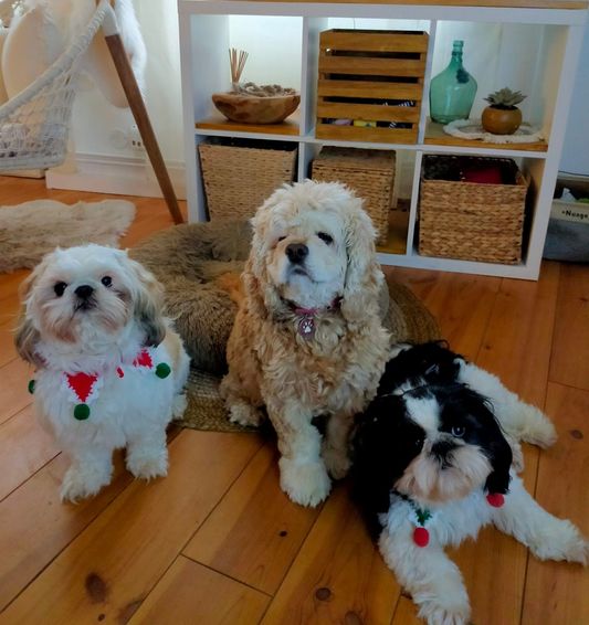Fanny avec copains