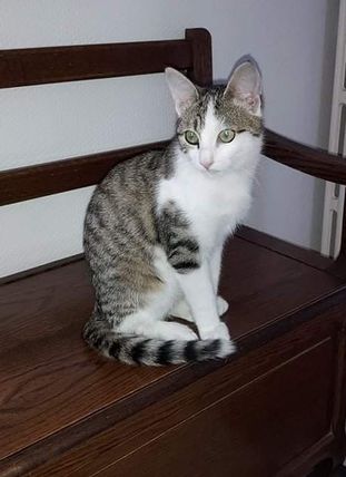 Scratch