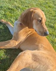 Zita 