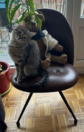Zita