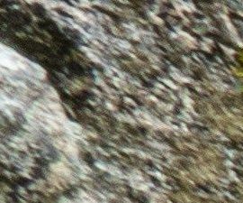 Schwarzwald - malerische Dörfer und immergrüne Wälder