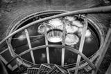 Renseri_5