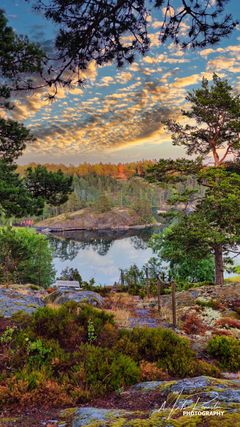 Down to the sea. Stockholm archipelago.