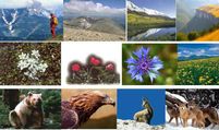 Natura e fauna Monti Appennini