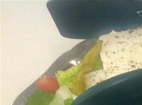 Griekse vlees schotel bij Restaurant Saloniki