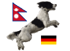 Rettungshunde fuer Nepal e.V. logo
