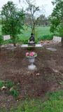 tuin2