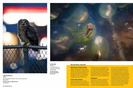 publication-0013