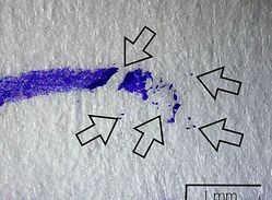 Robotized Handwriting Examination Method