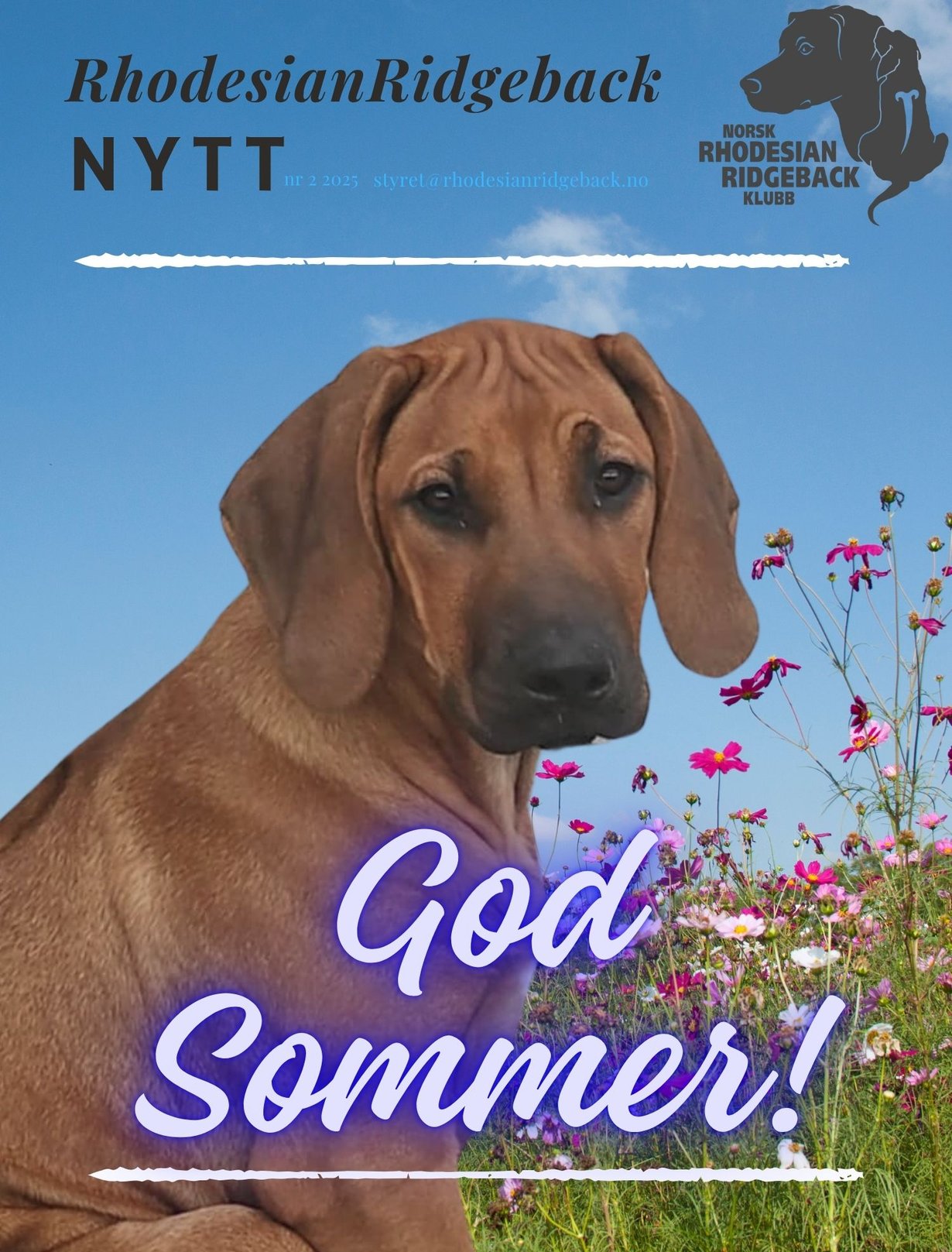 Norwgian Ridgeback rhodesianridgeback.no