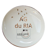 ACCEDER AU CR DE L'ASSEMBLEE GENERALE