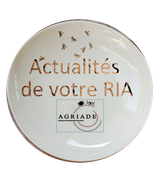 DECOUVREZ NOS ACTUALITES