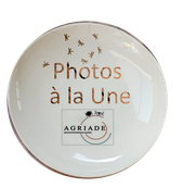 DES PHOTOS TEMOIGNANT D'ANIMATIONS
