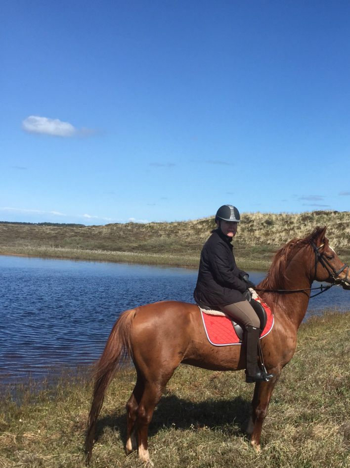 Al Waseef er Ox araber og super skøn at ride. Han er let og meget styrbar. Han elsker at komme med på ture. 