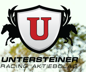 Unterstiner