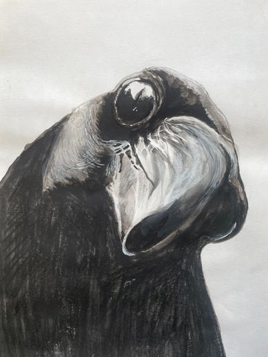 CROW 3