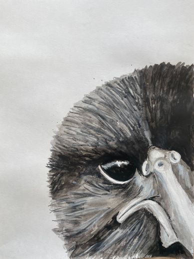 CROW 2