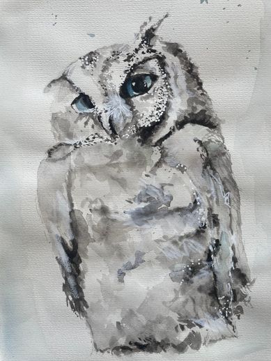 SNOWY OWL 2