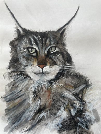 MERLE karikatur