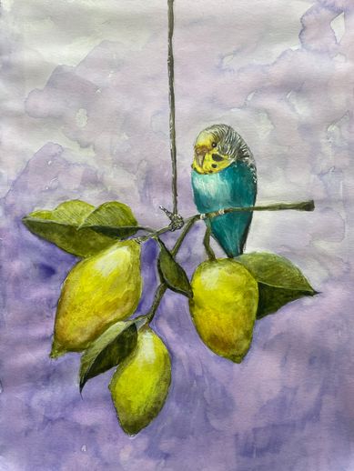 LEMON BIRD