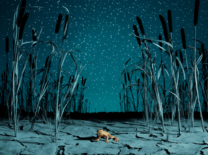The Last Night for the Last Golden Frog av Helöena Blomqvist