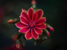 _D426713