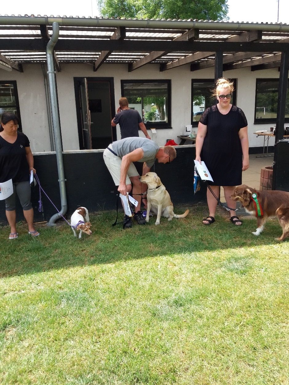 Agility Let øvede Torsdag
Ole med Duchess – Klubmester
Camilla med Liva – 2. plads
Jannie med Molly – 3. plads
