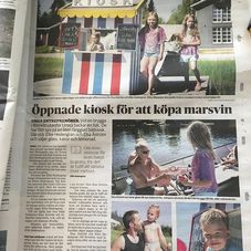 Läs om glass till marsvin