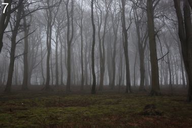 4 Peak District Mist 1