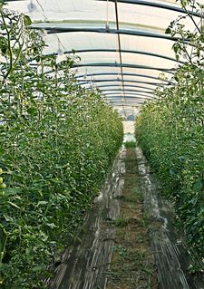 Project Farm Part 2 Project Farm Part 2 Farm Print 4308RR2-
