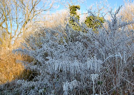 Winter Farm 4