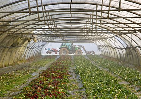 Winter Farm 6
