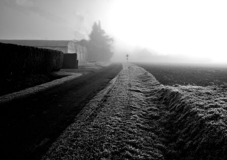 Winter Farm 7