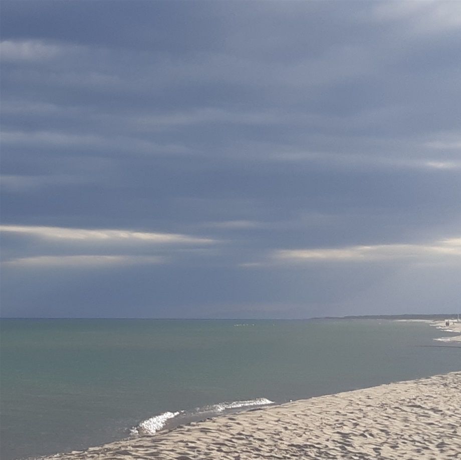 24.9.2021 Marina di Ginosa, Tarentský záliv. Ráno deset stupňů. Písek studený, voda teplá. Rozdíl patnáct stupňů. Odpolední slunce nepálí, jen hřeje. Medúza kořenoústka plicnatá (Rhizostoma pulmonata) pálí, ale jen trochu. Na písečné duně kvetou 